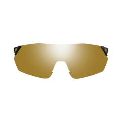Reverb Replacement Lens